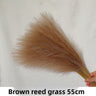 Brown 10pcs