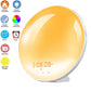 Sunrise alarm clock feature icons for sunrise, sunset, alarm, clock, FM radio and LED display