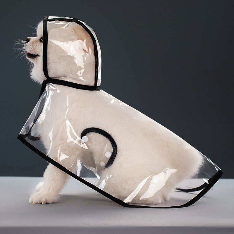 Small white dog seated in a clear EVA hooded rain poncho with black trim, studio rear angle