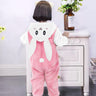 Pink Rabbit All Season