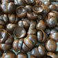 Pile of raw coconut shell halves with dark glossy outer surfaces