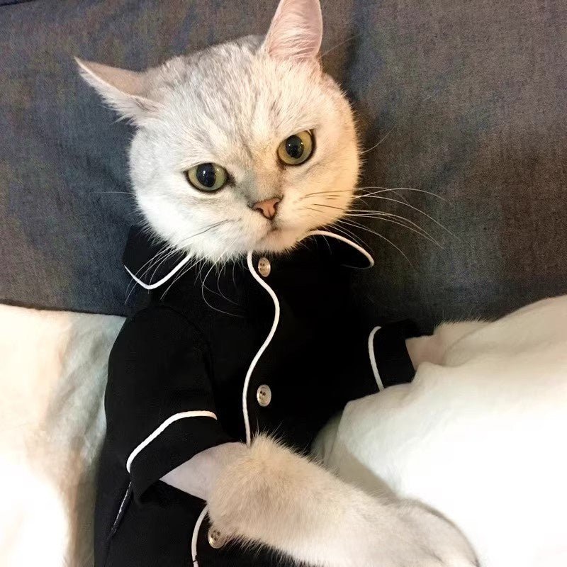 Silver tabby cat propped on a cushion wearing the black pet pajama shirt with white piping