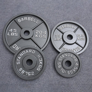 Cast Iron Barbell Plates | front view product hero shot