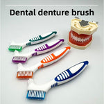 Four double headed denture brushes in blue orange green and purple beside a dental model of upper and lower teeth