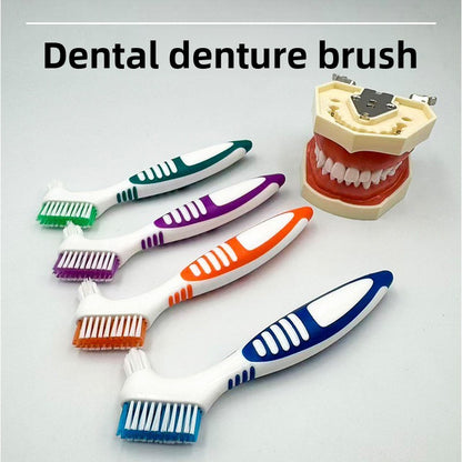 Four double headed denture brushes in blue orange green and purple beside a dental model of upper and lower teeth