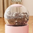 Feeder Pink Round