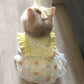 Heart Bubble Princess Pet Dress with Leash