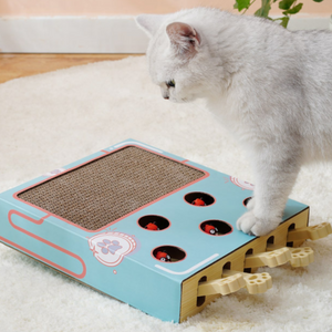 White cat beside the cardboard groundhog cat toy showing the top scratch pad and six pop up holes