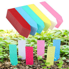 Colored Plastic Plant Label Cards for Succulents and Garden Pots
