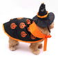 Black pumpkin print dog cape and pointed witch hat with orange band shown on a small dog