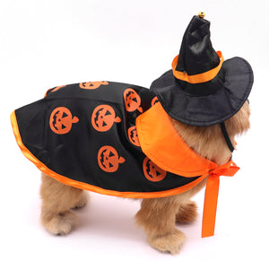 Black pumpkin print dog cape and pointed witch hat with orange band shown on a small dog