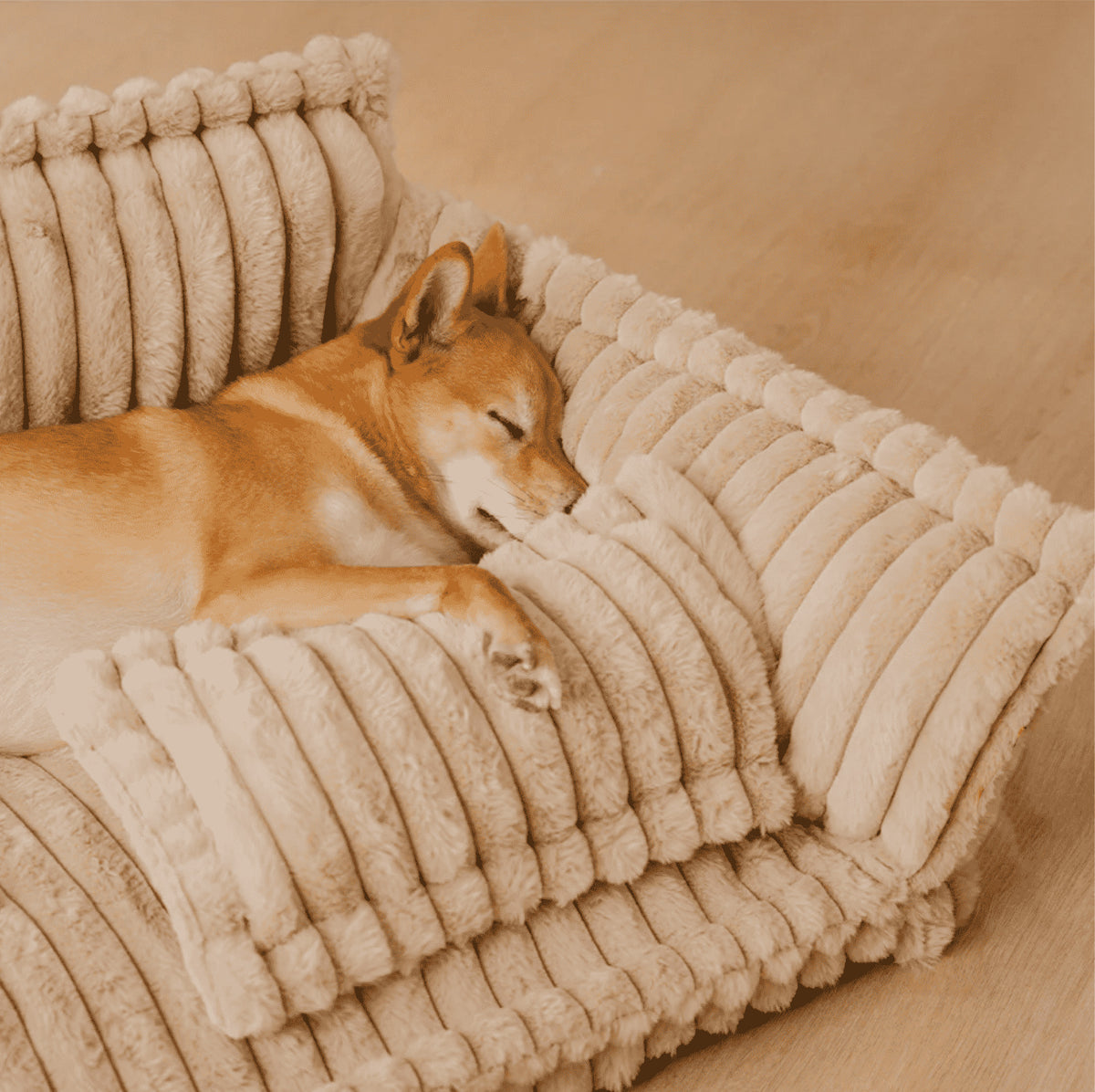 Sofa style plush pet bed with a raised bolster on three sides and a loose cushion, for cats and dogs