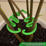 Green leaf shaped plastic clip gathering several tall plant stems in a white pot with black pebbles