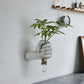 Metallic hand shaped wall vase holding a glass tube with a leafy stem against a plain wall