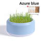 Cat Grass Potted Seeds Soilless Hydroponic Catnip Growing Kit Kitten Snack Supplies