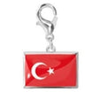 Steel color turkey
