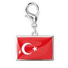 Steel color turkey
