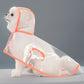 Small white dog seated in a clear EVA hooded rain poncho with bright orange trim, studio seated pose