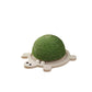 Turtle Shape Sisal Cat Scratching Board Toy