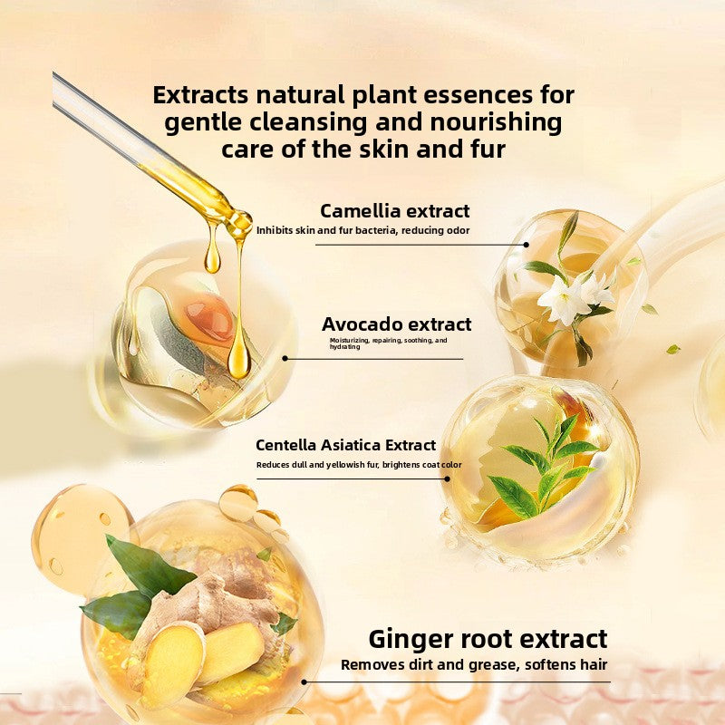 Panel with a dropper of golden oil and camellia, avocado, centella and ginger root extracts