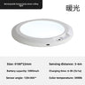 Single-Color Warm Rechargeable Pendant