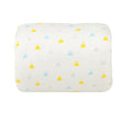 Yellow Blue Triangle
