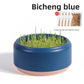 Cat Grass Hydroponic Growing Box Pet Snack