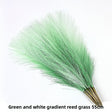 Green-White Gradient 10pcs