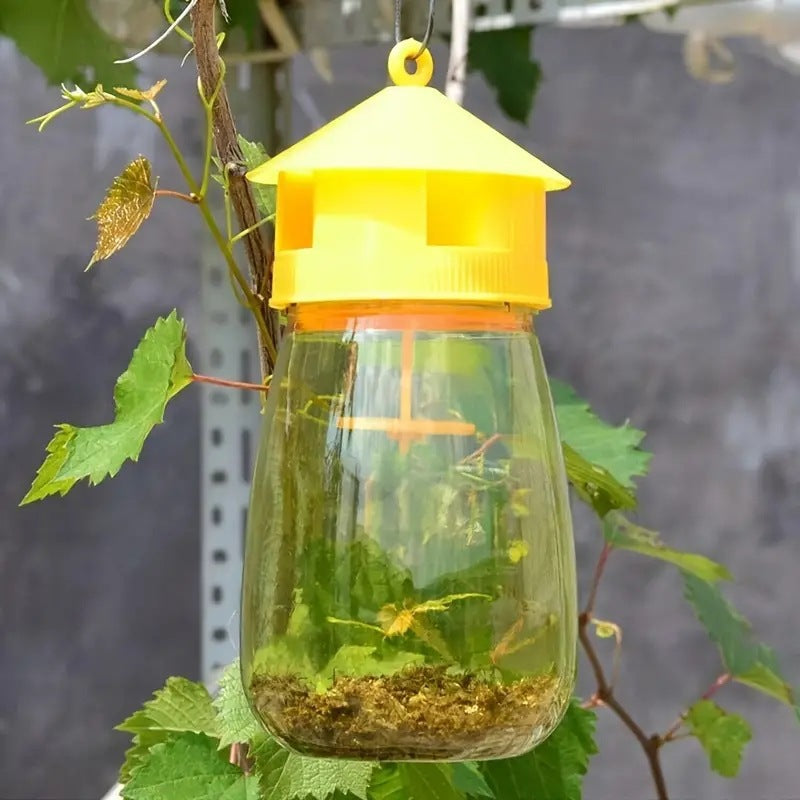Fruit Fly Trap
