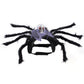 Spider back pet costume with hook and loop chest strap and a red eyed skull on a plain background