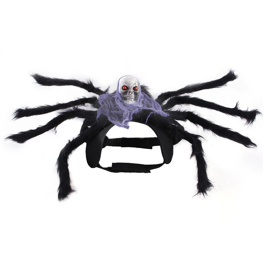 Spider back pet costume with hook and loop chest strap and a red eyed skull on a plain background