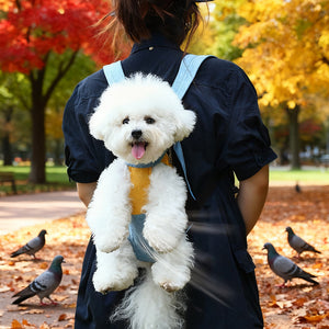 Small white dog riding in a denim blue pet carrier backpack worn on a person's back