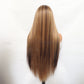 Back view of the long straight synthetic wig showing brown and blonde highlight stripes down to the ends