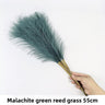 Peacock Green 10pcs