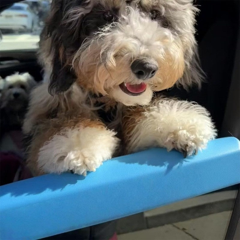 Small dog resting its chin on a padded car window ledge cushion, lifestyle photo