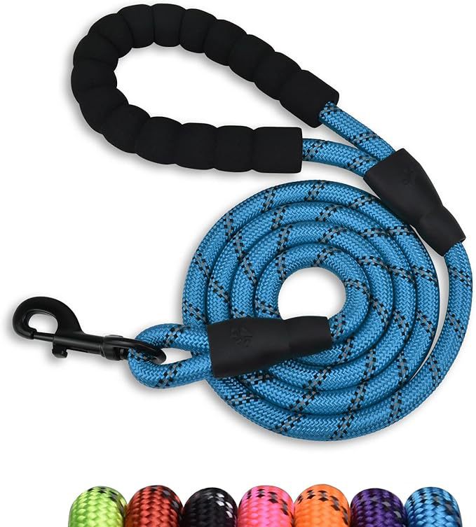 Metal swivel snap hook at the clip end of the braided nylon rope dog leash shown close
