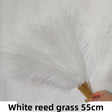 White 10pcs