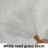 White 10pcs