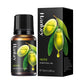 Plant-Based Massage Essential Oil | packaging and what is included