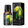 Olive Essential Oil 10ml
