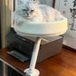 Suspended Cat Bed with Climbing Frame