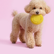 Soft Plush Pet Flying Disc Toy for Outdoor Play and Training