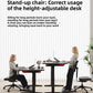 Ergonomic desk chair with padded seat and rotating backrest on a five point caster base