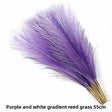 Purple-White Gradient 10pcs