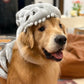 Gray plush dinosaur skull hood with padded teeth framing the face of a golden retriever indoors