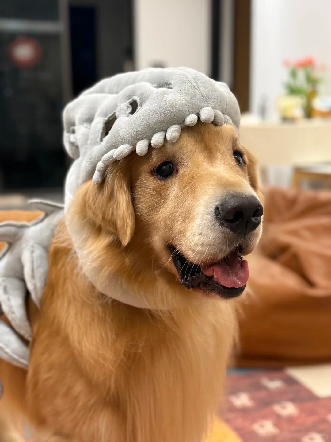 Gray plush dinosaur skull hood with padded teeth framing the face of a golden retriever indoors