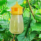Fruit Fly Trap