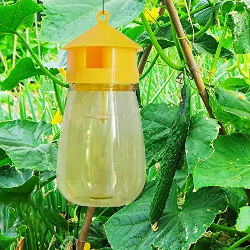 Fruit Fly Trap