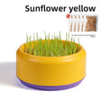SunflowerYellow(+5pcs seeds)