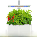 Indoor hydroponic garden lit by a full spectrum LED bar, basil, parsley and cherry tomatoes growing above the tank